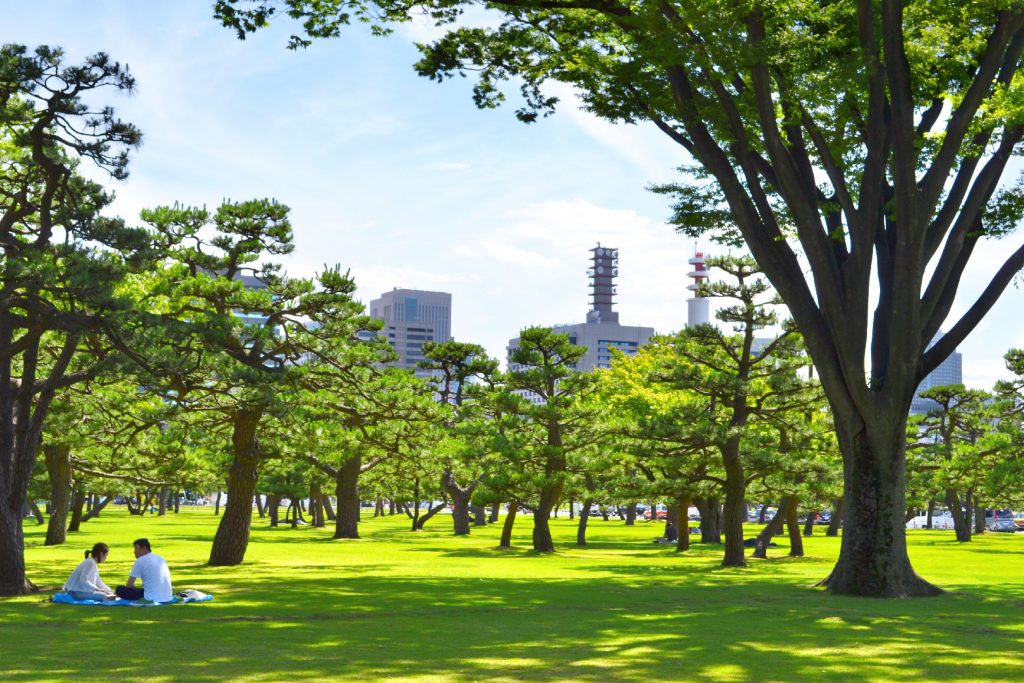 Jardin proche du Palais Impérial de Tokyo
