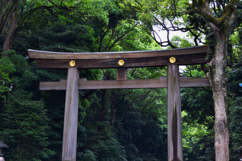 Le tori de l'entrée du Meiji-jingu Gyoen - blog juste-ici.blog -blog de voyage