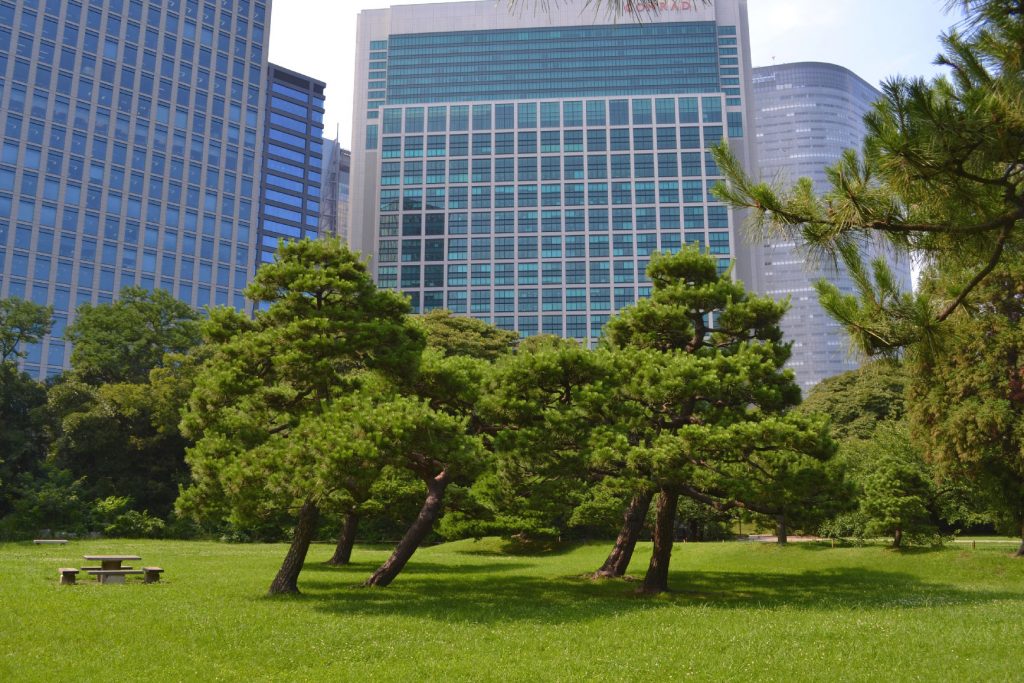 Le jardin Hamarikyu