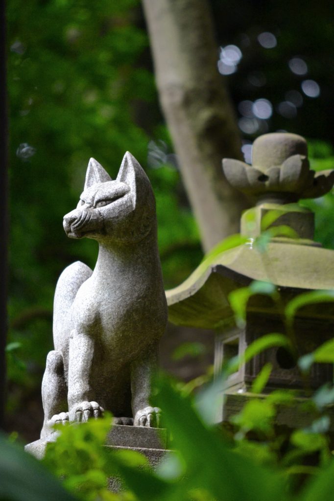 Renard dans le parc Shiba
