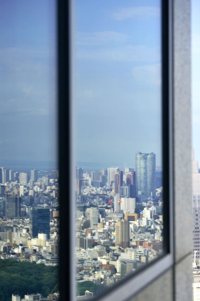 Vue sur Tokyo depuis le Metropolitan Building