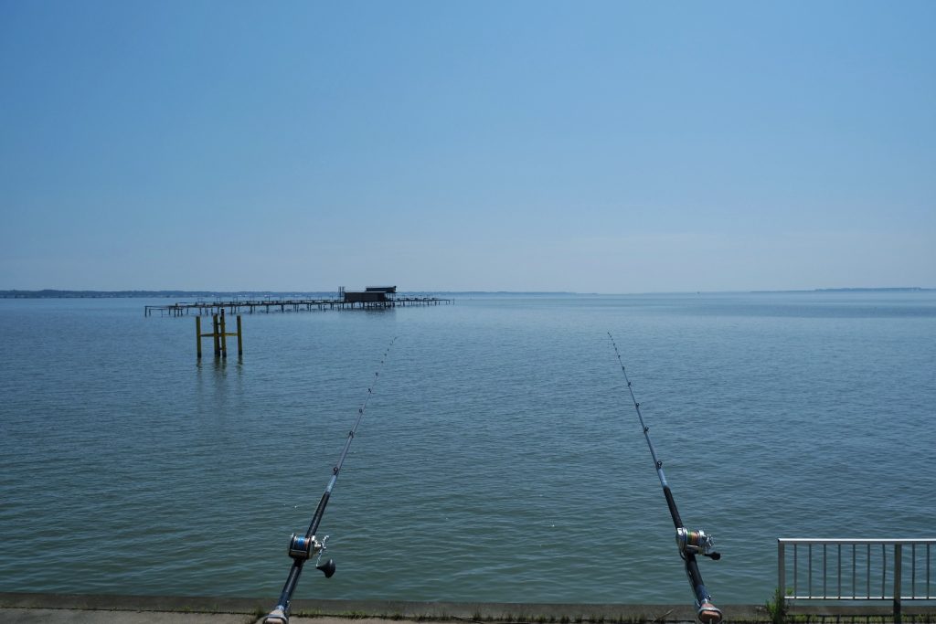 Cannes à pêche au bord du lac Kasumigaura