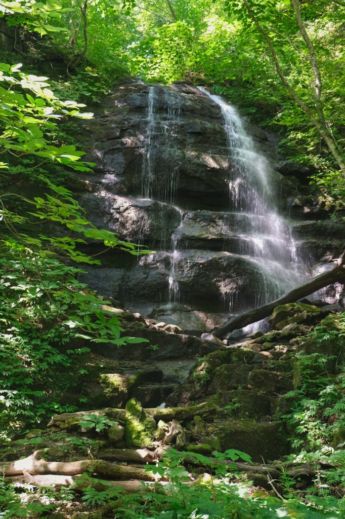 Cascade de la rivière Oirase