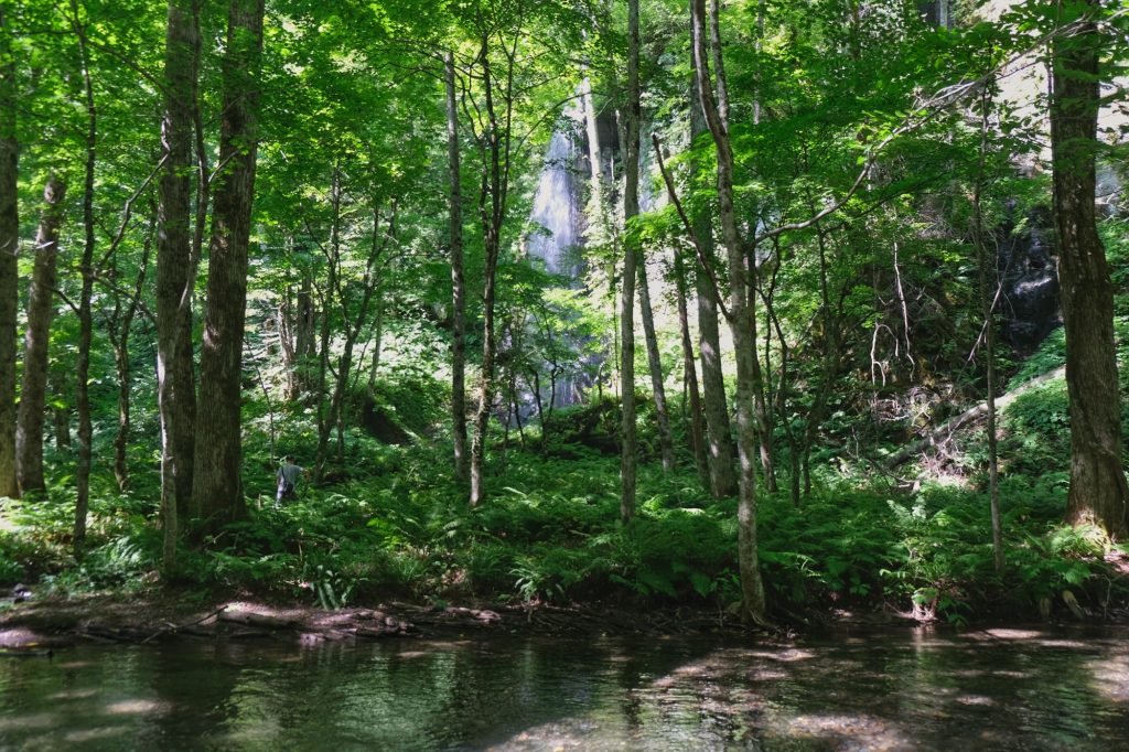 Une cascade se jettant dans la rivière Oirase