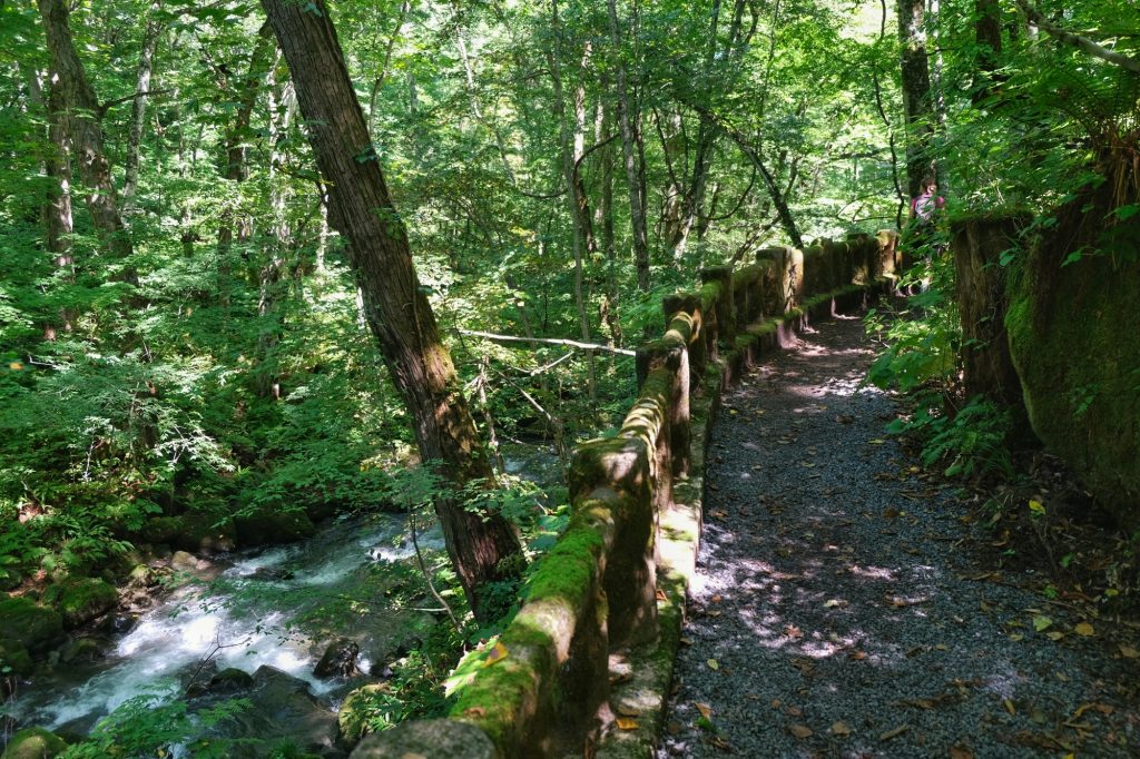 Chemin surplombant la rivière Oirase