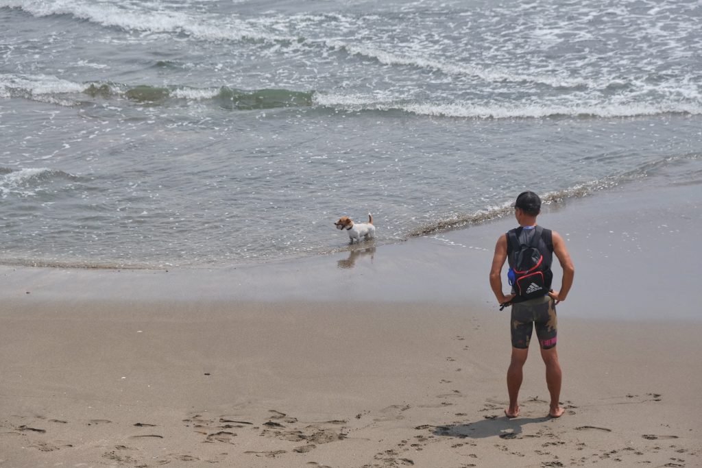 Un chien et son maître profitent du bord de mer