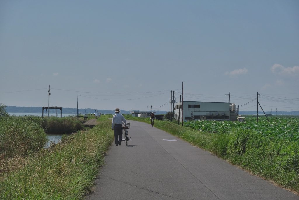 Des cyclistes longent le lac Kasumigaura