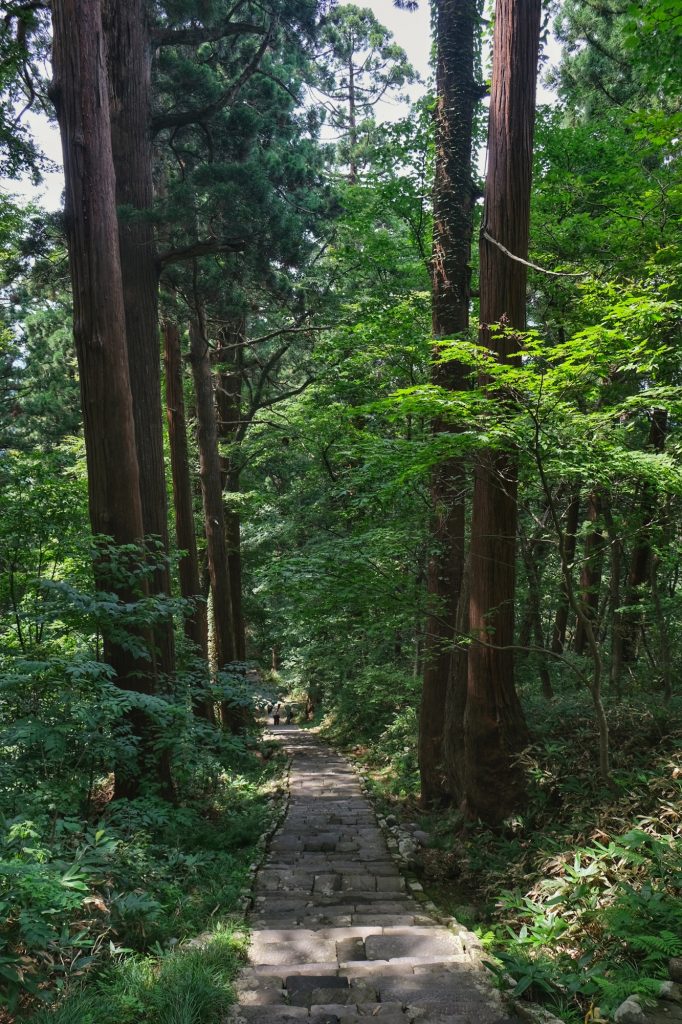 La descente (plus rapide) du Mont Haguro