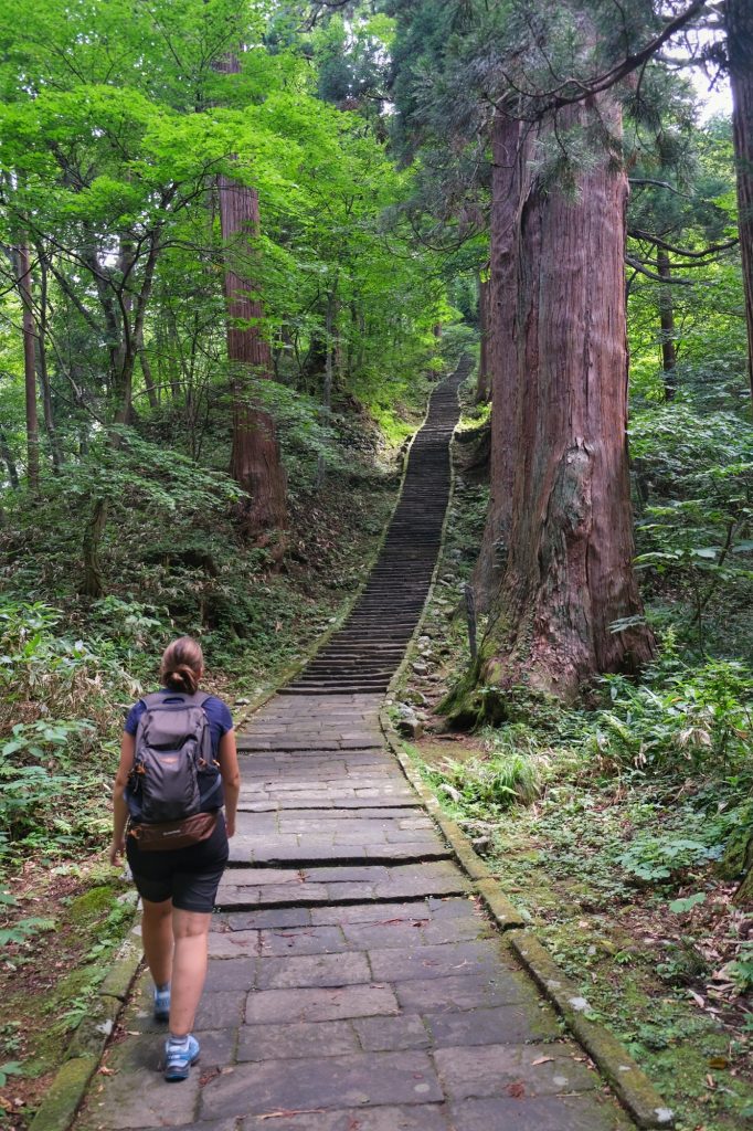 La montée à travers les cèdres sur le Mont Haguro