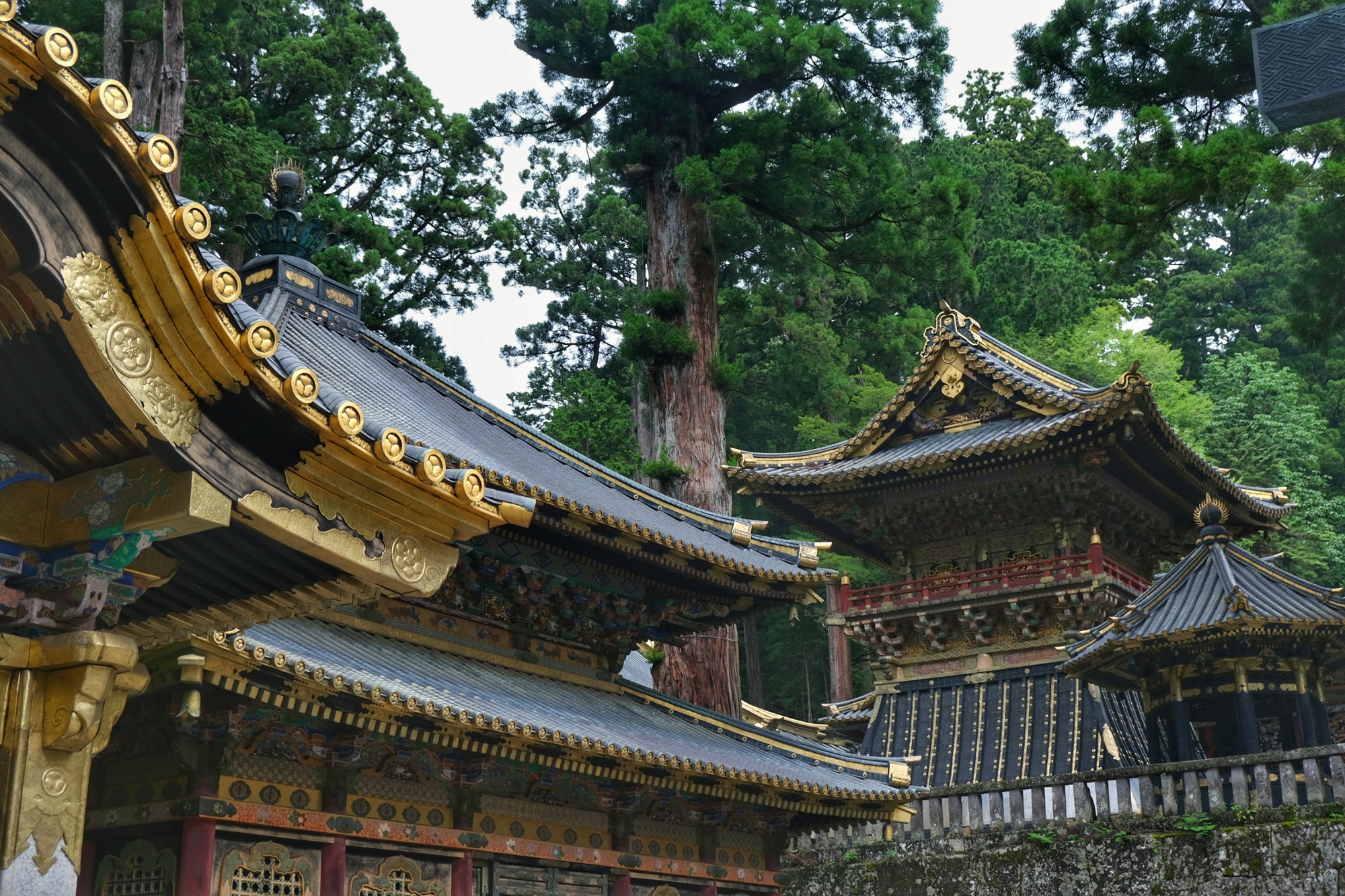 Les temples de Nikko au milieu de la forêt