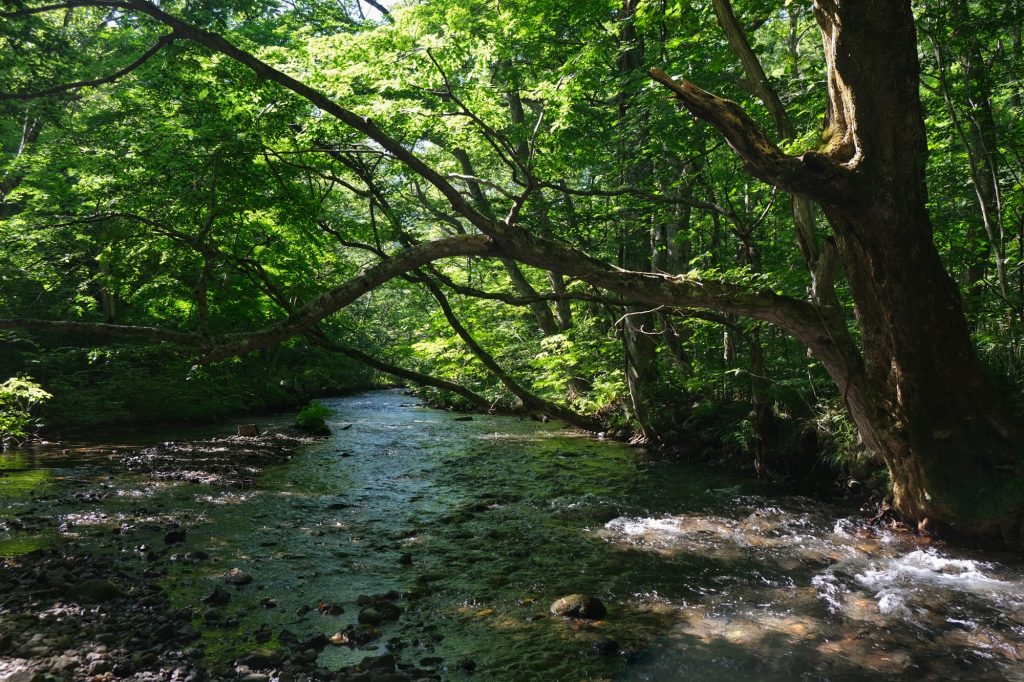 Les eaux (parfois) calmes de la rivière Oirase