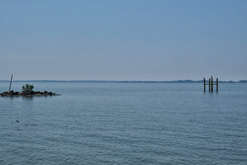 Poisson qui saute dans le lac Kasumigaura