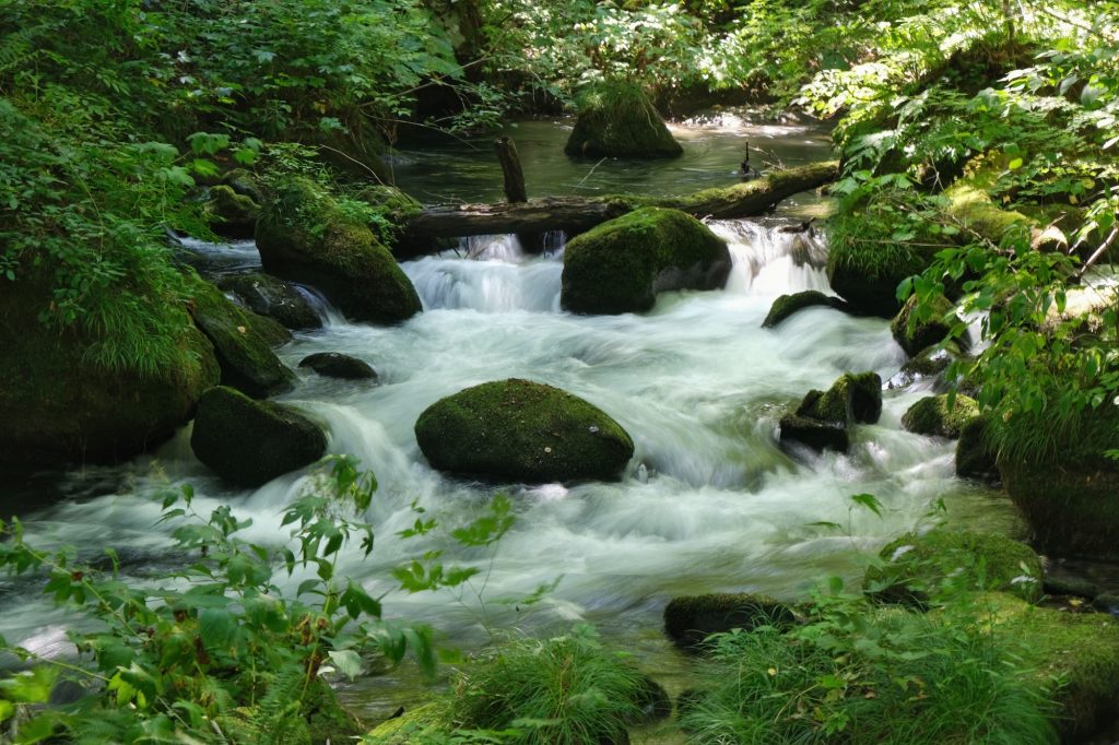 Des rapides dans la rivière Oirase
