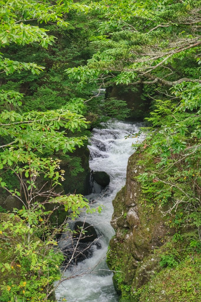 Des rapides dans la rivière Yu
