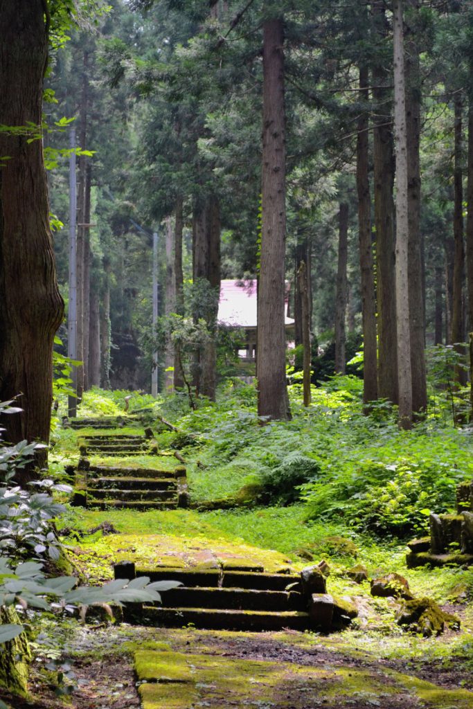 Chemin vers un temple dans la forêt