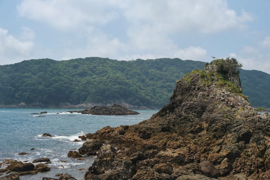 Un rocher en bord de mer à Shimoda