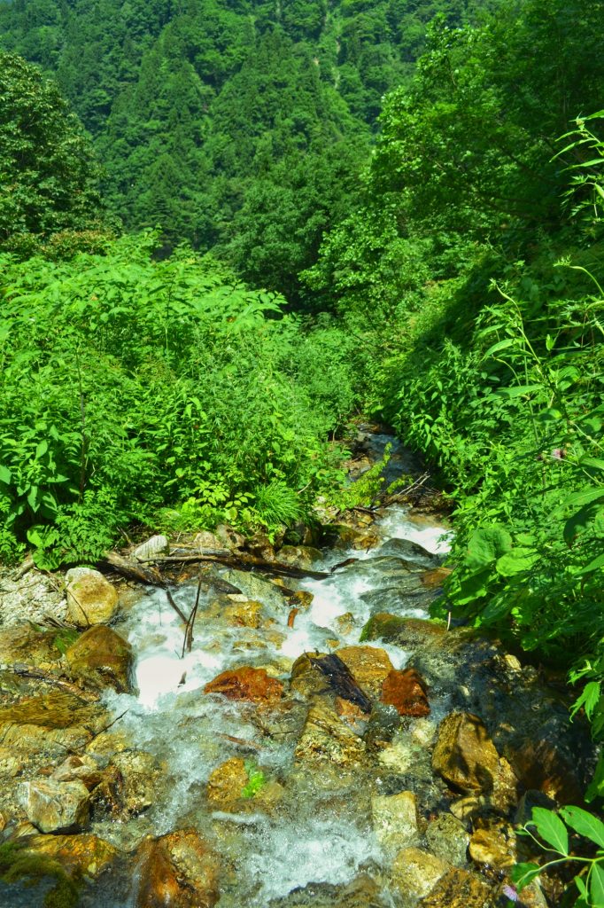 Un ruisseau sur la montagne Nakayama