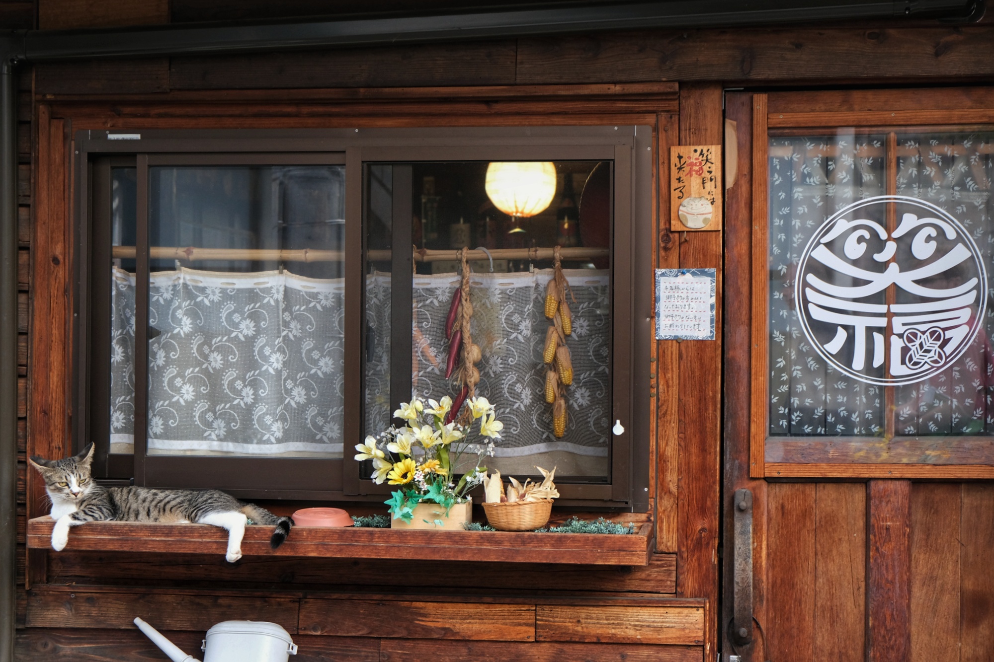 Un chat dans une ruelle de Matsumoto