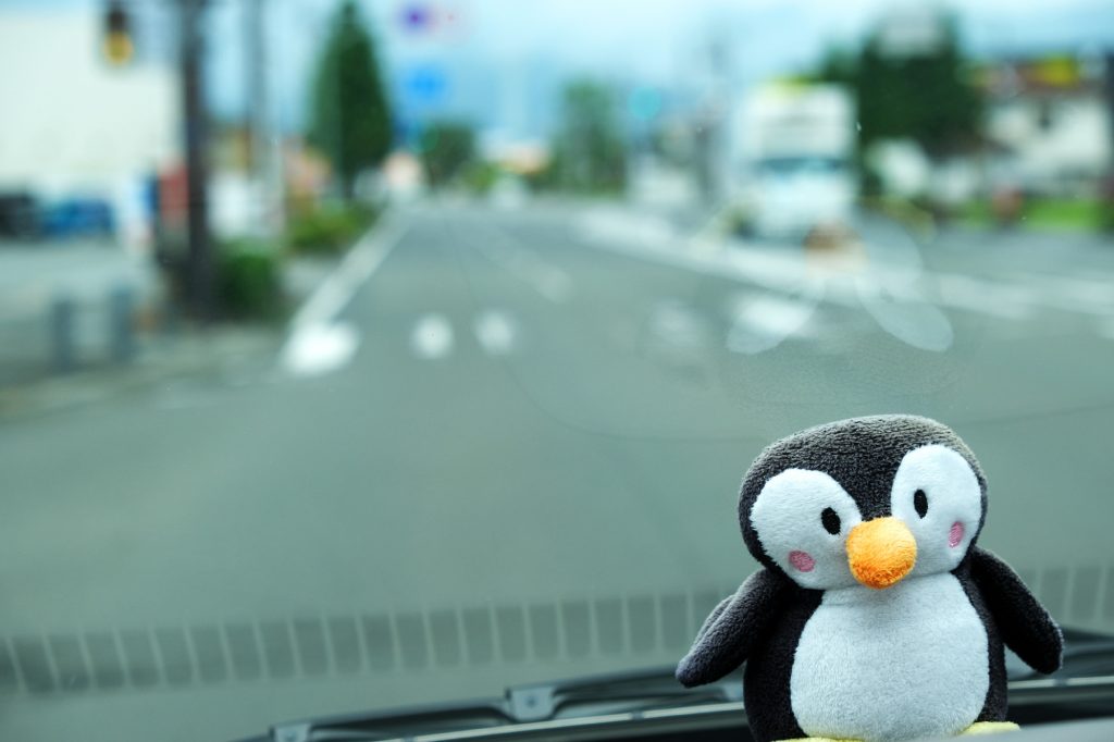 Notre petit Pingu nous accompagne partout