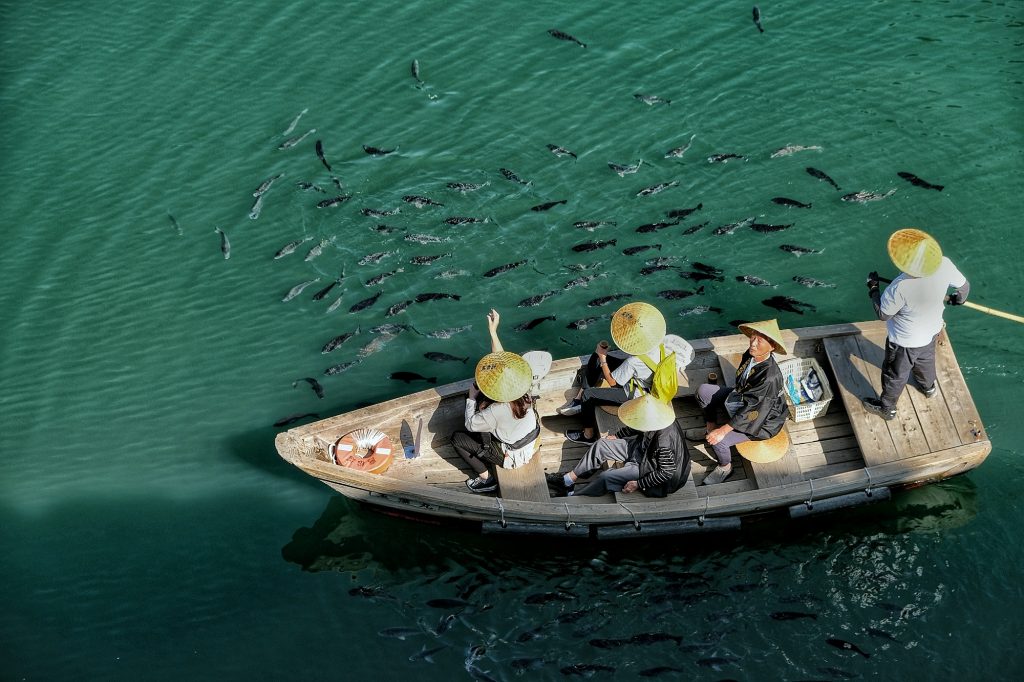 Les touristes sur un banc de carpes au château de Takamatsu