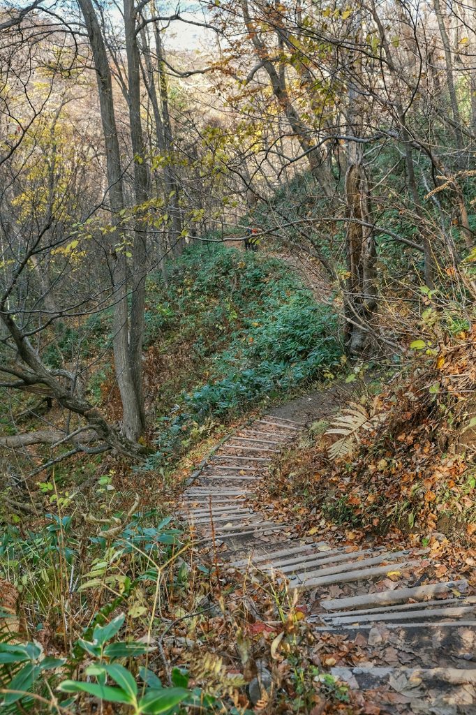 Le chemin de la montagne Moiwayama à Sapporo