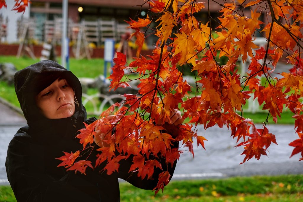Claire cherche des feuilles