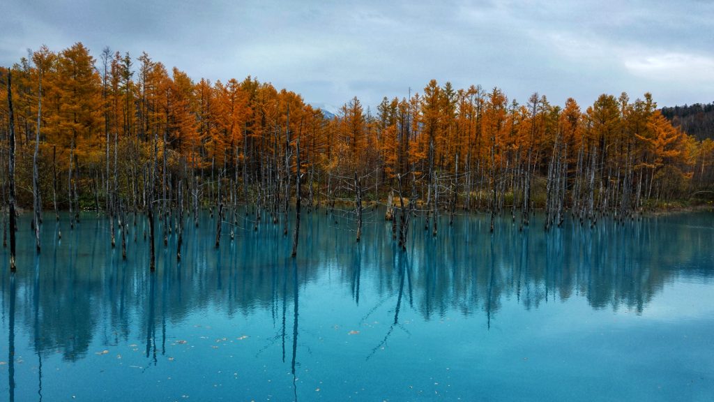 L'étang bleu entouré d'arbres aux couleurs de l'automne
