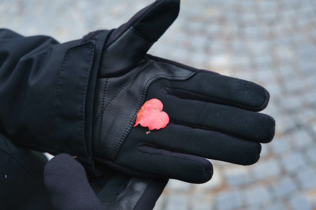 Une feuille en forme de cœur à Hakodate