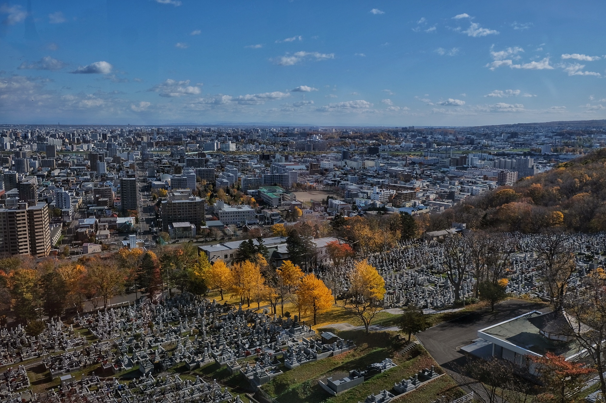 Un cimetière et son allée de ginkgos à Sapporo