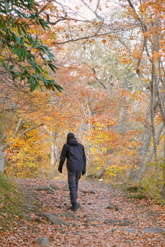 Vincent sur les chemins du Parc Onuma près d'Hakodate