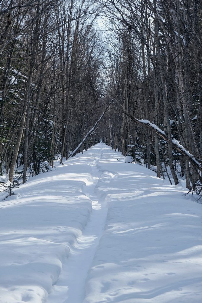 Ancienne voie de chemin de fer le long de la route 273