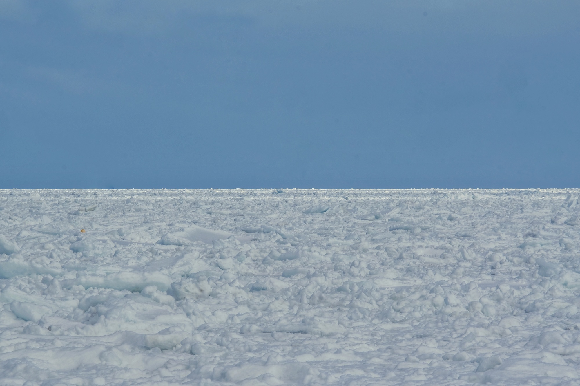 La banquise à la dérive de la mer d'Okhotsk