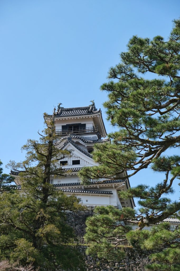Le château de Kochi vu du dessous