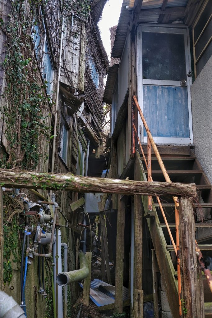 La végétation revient sur les bâtiments d'Ikeshima