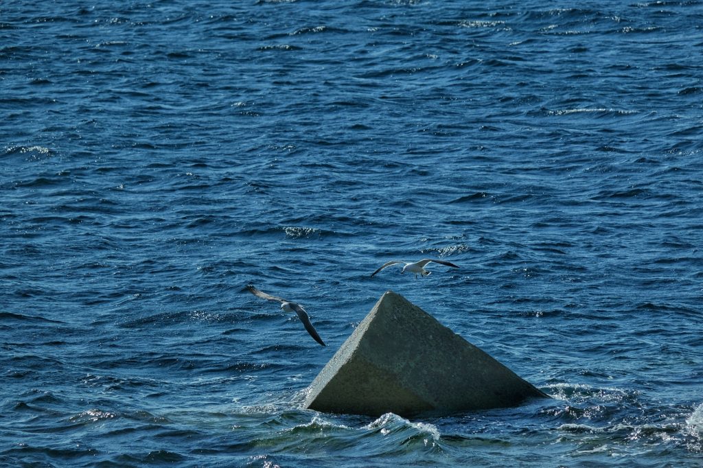 Des mouettes en vol au large d'île d'Ikeshima