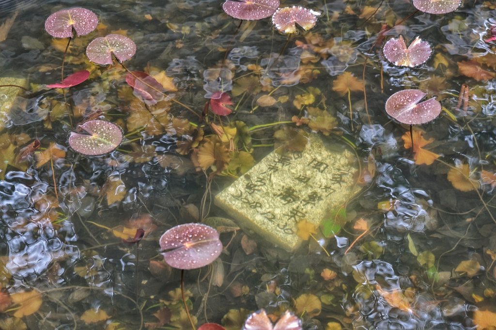 Inscription sur une pierre au fond de l'eau à l'entrée du Kongofukuji