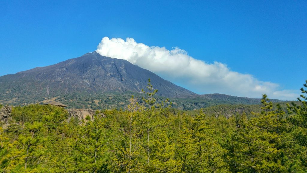 Le Sakurajima et ses différentes végétations (selon l'époque de la coulée de lave)