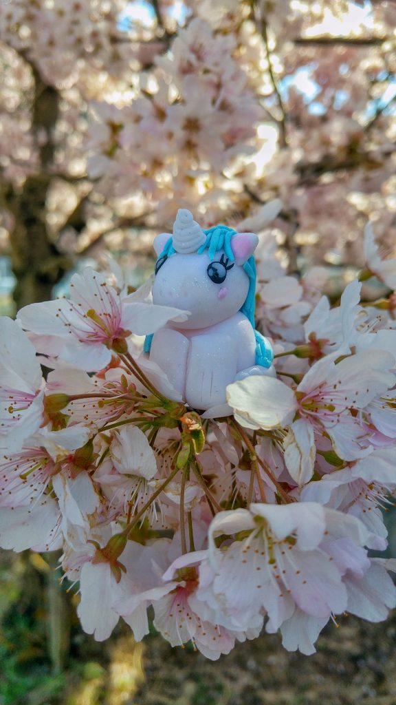 Stélie dans les fleurs de cerisier