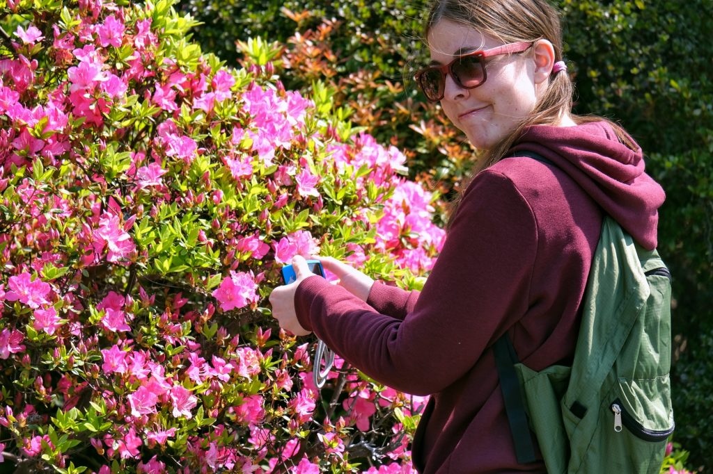 Claire filme les fleurs roses au Shinjuku Gyoen