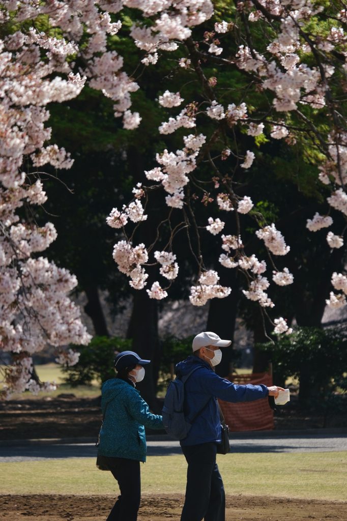 Un couple de visiteurs masqués au Shinjuku Gyoen
