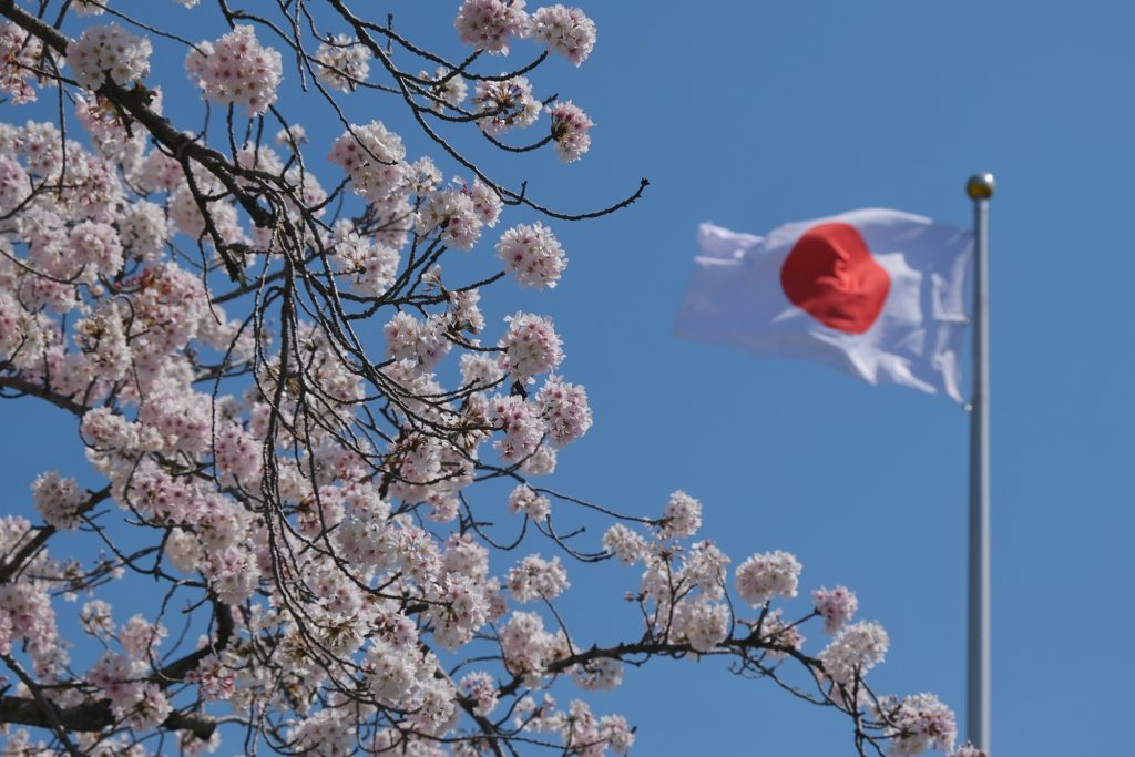 Drapeau japonais et cerisiers en fleur à Fujinomiya