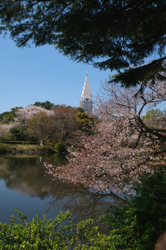 L'immeuble de Docomo surplombe l'étang du Shinjuku Gyoen