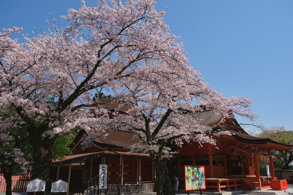 Le sanctuaire Fujisan Hongu Sengen Taisha de Fujinomiya