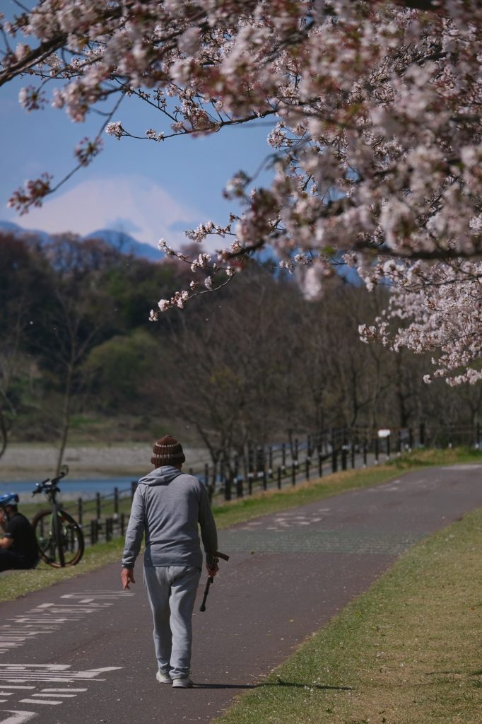 Le Mont Fuji vu depuis un parc de Tokyo le long de la rivière Tamagawa