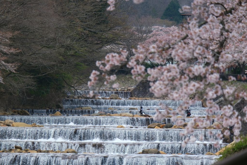 Des pêcheurs dans la rivière Haya à Miyagino