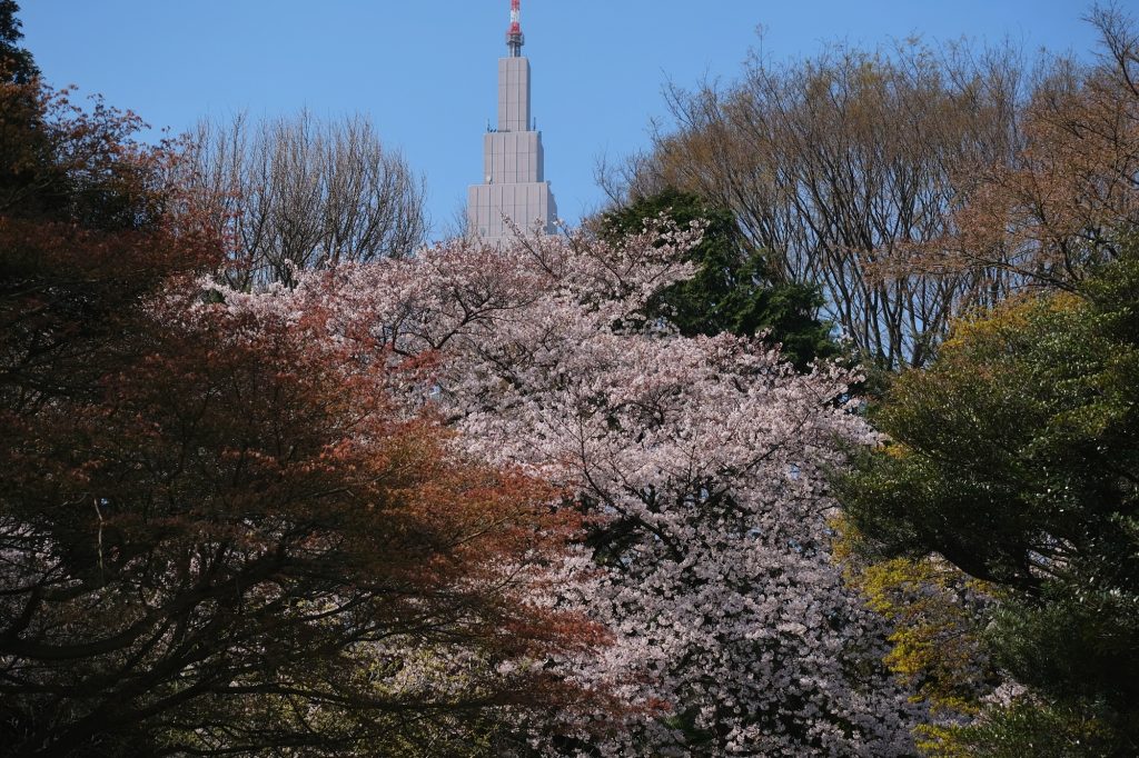 L'Empire State Building local dépasse des arbres du Shinjuku Gyoen