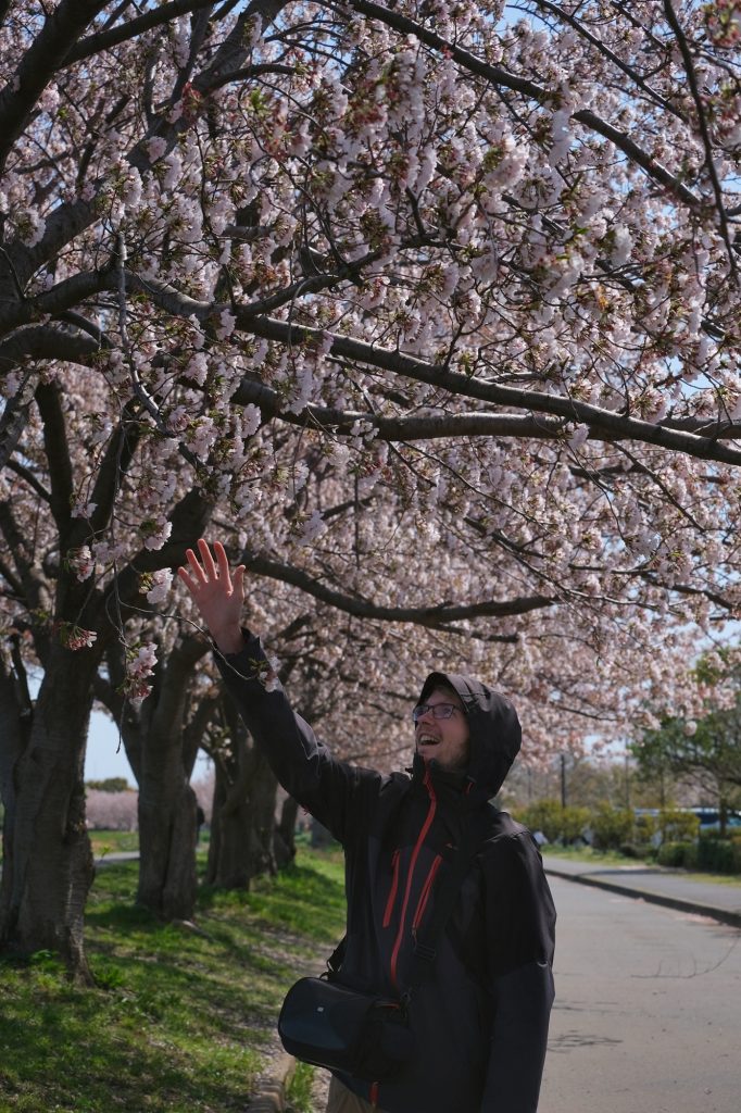 Vincent cherche à atteindre les fleurs de cerisiers