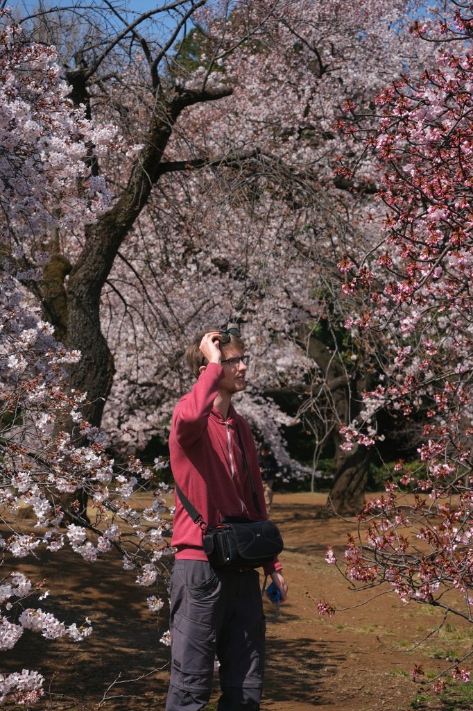 Vincent observe les cerisiers en fleurs du parc de Shinjuku