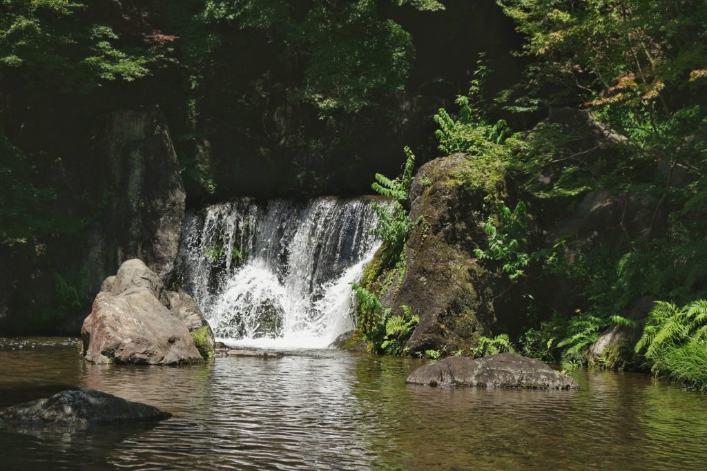 Une cascade dans le jardin japonais du parc Expo '70