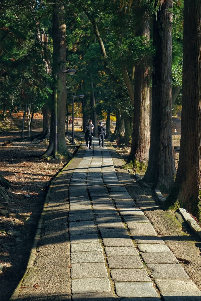 Un chemin pavé dans le parc de Nara